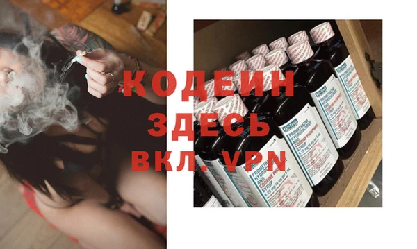 индика Семилуки