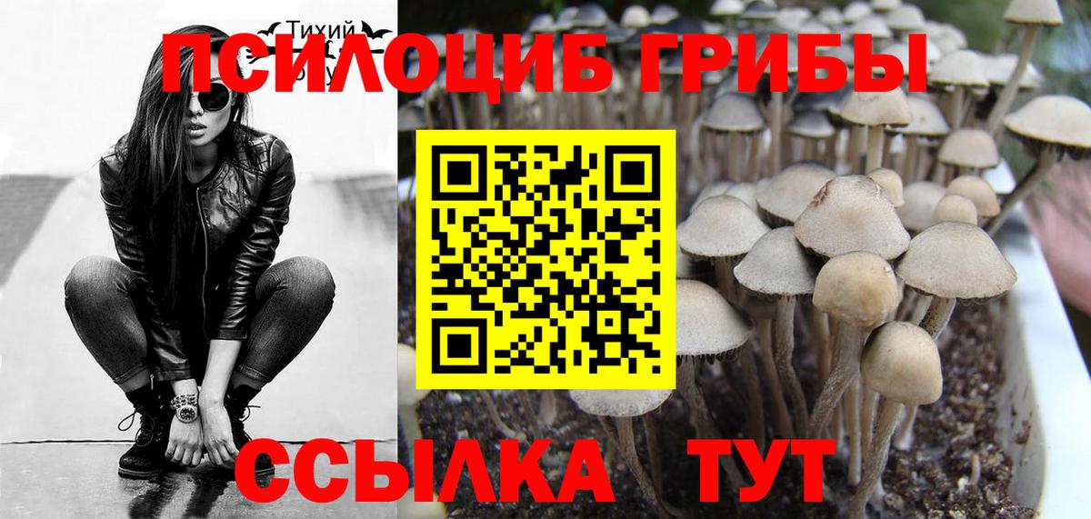 Чистополь  Галлюциногенные грибы ЛСД  Вход с VPN 